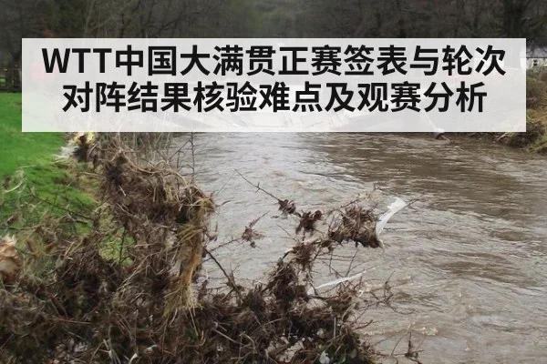 WTT中国大满贯正赛签表与轮次对阵结果核验难点及观赛分析（kaiyun）